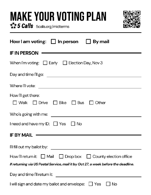 One of the four blank voting plans on the handout page